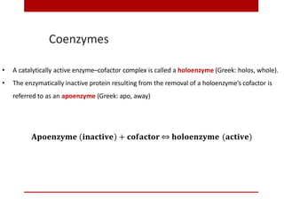 Coenzymes
• A catalytically active enzyme–cofactor complex is called a holoenzyme (Greek: holos, whole).
• The enzymatically inactive protein resulting from the removal of a holoenzyme’s cofactor is
referred to as an apoenzyme (Greek: apo, away)
𝐀𝐩𝐨𝐞𝐧𝐳𝐲𝐦𝐞 𝐢𝐧𝐚𝐜𝐭𝐢𝐯𝐞 + 𝐜𝐨𝐟𝐚𝐜𝐭𝐨𝐫 ⇔ 𝐡𝐨𝐥𝐨𝐞𝐧𝐳𝐲𝐦𝐞 (𝐚𝐜𝐭𝐢𝐯𝐞)
 