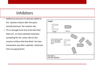 • Additional amounts of substrate added to
the reaction mixture after this point
actually decrease the reaction rate
• This is thought to be due to the fact that
there are so many substrate molecules
competing for the active sites on the
enzyme surfaces that they block the sites
and prevent any other substrate molecules
from occupying them.
Inhibitors
 