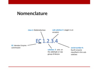 Nomenclature
EC 1.2.3.4
EC: denotes Enzyme
commission
class 1: Oxidoreductase
subclass 2: acts on
the aldehyde or oxo
group of donors
sub-subclass 3: oxygen is an
acceptor
serial number 4:
fourth enzyme
classified in this sub-
subclass
 