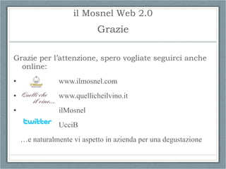 il Mosnel Web 2.0 <ul><li>Pro: </li></ul><ul><ul><li>Grande visibilità: pubblico si allarga esponenzialmente a costo zero....