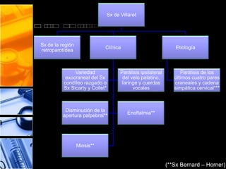 (**Sx Bernard – Horner)