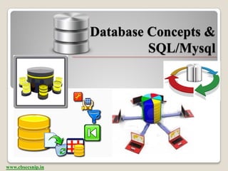 Database Concepts &
                            SQL/Mysql




www.cbsecsnip.in
 