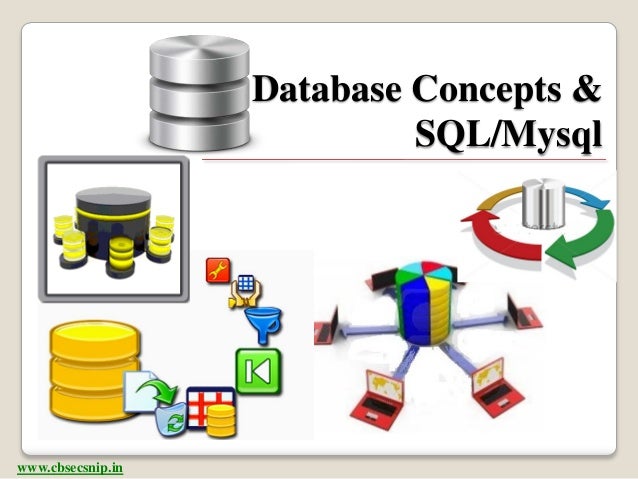 CBSE XII Database Concepts And MySQL Presentation