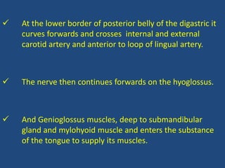  At the lower border of posterior belly of the digastric it
curves forwards and crosses internal and external
carotid artery and anterior to loop of lingual artery.
 The nerve then continues forwards on the hyoglossus.
 And Genioglossus muscles, deep to submandibular
gland and mylohyoid muscle and enters the substance
of the tongue to supply its muscles.
 