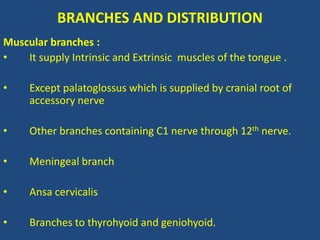 BRANCHES AND DISTRIBUTION
Muscular branches :
• It supply Intrinsic and Extrinsic muscles of the tongue .
• Except palatoglossus which is supplied by cranial root of
accessory nerve
• Other branches containing C1 nerve through 12th nerve.
• Meningeal branch
• Ansa cervicalis
• Branches to thyrohyoid and geniohyoid.
 