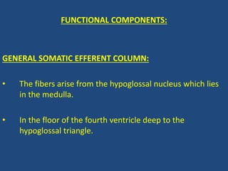 FUNCTIONAL COMPONENTS:
GENERAL SOMATIC EFFERENT COLUMN:
• The fibers arise from the hypoglossal nucleus which lies
in the medulla.
• In the floor of the fourth ventricle deep to the
hypoglossal triangle.
 