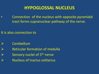 HYPOGLOSSAL NUCLEUS
• Connection of the nucleus with opposite pyramidal
tract forms supranuclear pathway of the nerve.
It is also connection to
 Cerebellum
 Reticular formation of medulla
 Sensory nuclei of 5th nerve
 Nucleus of tractus solitarius
 