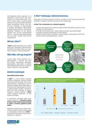 AGRO
Táplálunk és védünk
első dekádjában szoktak megjelenni, és ha
csapadékos a június és július, akkor folya-
matosan nő a fertőzött tövek aránya. A sze-
kunder fertőzés esetén a szkleróciumokból
apotéciumok (ivaros termőtestek) képződnek,
melyek aszkospórákat szórnak. Ezek idéz-
hetik elő a szárközép- és tányér-fertőzést.
A betegség következtében betakarításkori
veszteség, fajsúly csökkenés, léha kaszatok,
olajtartalom csökkenés, és ezek együttes
hatásából akár 30-40% termésveszteség
alakul ki. A fungicides állománykezelésekkel
már nem tudjuk a talajból induló fertőzést
megakadályozni.
Mit tud a Xilon®
?
A Xilon®
biológiai talajfungicid, ami a vetéstől
kezdve védi a növényeket a szklerotinia primer
fertőzésétől, sőt kedvező hatása van a talaj-
életre és serkenti a növények növekedését.
Miért több, mint egy fungicid?
Fungicid hatása mellett kedvezően hat a
gyökérfejlődésre, a növények korai fejlő-
dési erélyére, fotoszintetikus aktivitására.
Egészségesebb, robosztusabb, az abiotikus
stresszhatásokat jobban tűrő lesz az állomány.
Javítja a növények és a talaj egészségét.
1. Fungicides kezelések és kombinációik hatása a napraforgó termésére
GEP* kísérletek (2 helyszín átlaga), Románia 2020.
3,4
3,3
3,2
3,1
3
2,9
2,8
2,7
35
30
25
20
15
10
5
0
kontroll fungicid1
+ fungicid2
Xilon + fungicid2
Xilon
termés (t/ha) Sclerotinia fertőzés gyakorisága (%)
Termés
(t/ha)
Sclerotinia
fertőzés
gyakorisága
(%)
32
1,2
2,9
3,0
15,5
3,3
1,05
3,3
*GEP = akreditált vizsgálatok 1
trifloxistrobin + ciprokonazol 2
dimoxistrobin + boszkalid
A Xilon®
hatóanyaga, hatásmechanizmusa.
Hatóanyaga a Trichoderma asperellum T34 törzse, mely több mint 300 Trichoderma faj közül lett
szelektálva. Kimagasló a Sclerotinia sclerotiorum elleni hatékonysága.
A Xilon®
hat a kórokozókra és a növényre egyaránt:
	 - 
A gyökér kolonizálásával védi a növényt a talajból fertőző kórokozóktól, így jobb lesz annak
tápanyag- és vízhasznosítása is.
	 - A Trichoderma enzimeket termel, melyek a kórokozó gombák szaporodását gátolják.
	 - Parazitálja a kórokozók gombafonalait és kitartó képleteit.
	 - 
Indukált rezisztenciát vált ki a növényben, melynek hatására a lombleveleken történő fertő-
zésekkel szemben ellenállóbbakká teszi a növényt.
Kísérleti eredmények
Akkreditált kísérleti helyek
A Xilon®
-t az elmúlt években, különböző
Sclerotinia fertőzöttség, különböző időjárási
körülmények között teszteltük számos szán-
tóföldi kultúrában. Napraforgóban a GEP-es
(akreditált viszgálati helyek) kísérletekben a
Sclerotinia elleni hatékonyságát és a termés-
re gyakorolt hatását vizsgáltuk. Összehason-
lításra került több technológia. Az egyszeri
fungicides-, a kétszeri fungicides-, a Xilon®
vetéssel egyidőben alkalmazott-, és ezek
komplex technológiái.
Az állományban használható kémiai fungi­
ci­
dekkel összevetve, a Sclerotinia primer
fertőzése elleni hatékonysága emelhető
ki, illetve a termésre gyakorolt pozitív
hatása.
Magasabb fertőzöttségi szint mellett a szkle­
rotiniával szembeni maximális hatékony­
ságot
és a legnagyobb terméshozamot a Xilon®
+
fungicides állománykezelés komplex techno-
lógiája adta (1. diagramm).
 