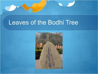 Leaves of the Bodhi Tree
 
