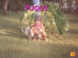 PUQUI