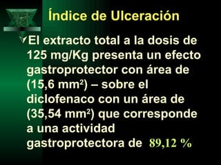 Índice de Ulceración  El extracto total a la dosis de 125 mg/Kg presenta un efecto gastroprotector con área de ( 15,6   mm 2 ) – sobre el diclofenaco con un área de ( 35,54   mm 2 ) que corresponde a una actividad gastroprotectora de  89,12 % 