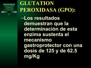 GLUTATION PEROXIDASA (GPO): Los resultados demuestran que la determinación de esta enzima sustenta el mecanismo gastroprotector con una dosis de 125 y de 62.5 mg/Kg  