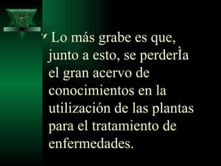 Lo más grabe es que, junto a esto, se perdería el gran acervo de conocimientos en la utilización de las plantas para el tratamiento de enfermedades.   