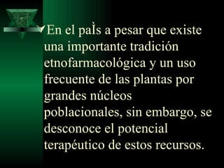 En el país a pesar que existe una importante tradición etnofarmacológica y un uso frecuente de las plantas por grandes núcleos poblacionales, sin embargo, se desconoce el potencial terapéutico de estos recursos. 