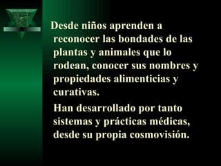 Desde niños aprenden a reconocer las bondades de las plantas y animales que lo rodean, conocer sus nombres y propiedades alimenticias y curativas.  Han desarrollado por tanto sistemas y prácticas médicas, desde su propia cosmovisión. 