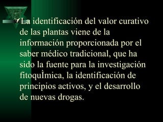 La identificación del valor curativo de las plantas viene de la información proporcionada por el saber médico tradicional, que ha sido la fuente para la investigación fitoquímica, la identificación de principios activos, y el desarrollo de nuevas drogas.  