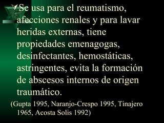 Se usa para el reumatismo, afecciones renales y para lavar heridas externas, tiene propiedades emenagogas, desinfectantes, hemostáticas, astringentes, evita la formación de abscesos internos de origen traumático.  (Gupta 1995, Naranjo-Crespo 1995, Tinajero 1965, Acosta Solis 1992 )  
