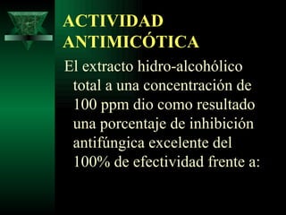 ACTIVIDAD ANTIMICÓTICA El extracto hidro-alcohólico total a una concentración de 100 ppm dio como resultado una porcentaje de inhibición antifúngica excelente del 100% de efectividad frente a: 