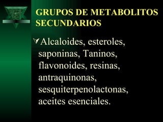 GRUPOS DE METABOLITOS SECUNDARIOS Alcaloides, esteroles,  saponinas,  Taninos, flavonoides, resinas,  antraquinonas,  sesquiterpenolactonas,  aceites esenciales.   