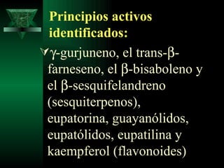 Principios activos identificados:  -gurjuneno, el trans-  -farneseno, el   -bisaboleno y el   -sesquifelandreno (sesquiterpenos), eupatorina, guayanólidos, eupatólidos, eupatilina y kaempferol (flavonoides)  
