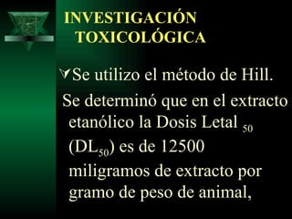 INVESTIGACIÓN   TOXICOLÓGICA Se utilizo el método de Hill. Se determinó que en el extracto etanólico la Dosis Letal  50  (DL 50 ) es de 12500 miligramos de extracto por gramo de peso de animal,  