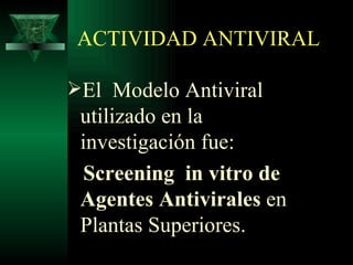 ACTIVIDAD ANTIVIRAL El  Modelo Antiviral utilizado en la  investigación fue: Screening  in vitro de Agentes Antivirales  en Plantas Superiores . 