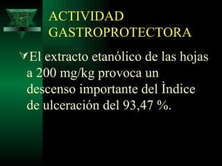 ACTIVIDAD GASTROPROTECTORA El extracto etanólico de las hojas a 200 mg/kg provoca un descenso importante del índice de ulceración del  93,47 %.   