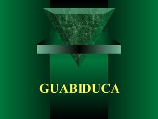 GUABIDUCA 