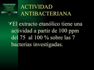 ACTIVIDAD ANTIBACTERIANA El extracto etanólico tiene una actividad a partir de 100 ppm del 75  al 100 % sobre las 7 bacterias investigadas.  