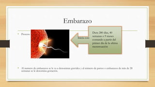 Pruebas signos y síntomas en el embarazo | PPTX