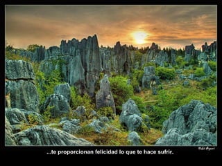 ...te proporcionan felicidad lo que te hace sufrir. 