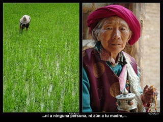 ...ni a ninguna persona, ni aún a tu madre,... 