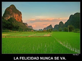 LA FELICIDAD NUNCA SE VA. 
