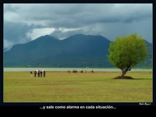 ...y sale como alarma en cada situación... 