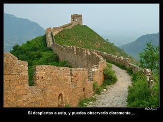 Si despiertas a esto, y puedes observarlo claramente,... 