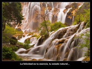 La felicidad es tu esencia, tu estado natural... 