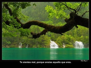 Te sientes mal, porque ansías aquello que eres. 