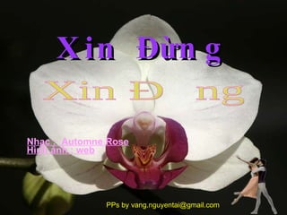 Xin Đừng Nhạc :  Automne Rose Xin Đừng PPs by vang.nguyentai@gmail.com Hình ảnh : web 