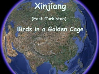 Xinjiang (East Turkistan)   Birds in a Golden Cage 