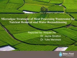 Microalgae Treatment of Meat Processing Wastewater for
Nutrient Removal and Water Reconditioning
Reported by: Xinjuan Hu
Dr. Jayne Stratton
Dr. Yulie Meneses
 