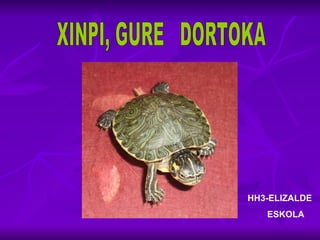 XINPI, GURE  DORTOKA HH3-ELIZALDE ESKOLA 