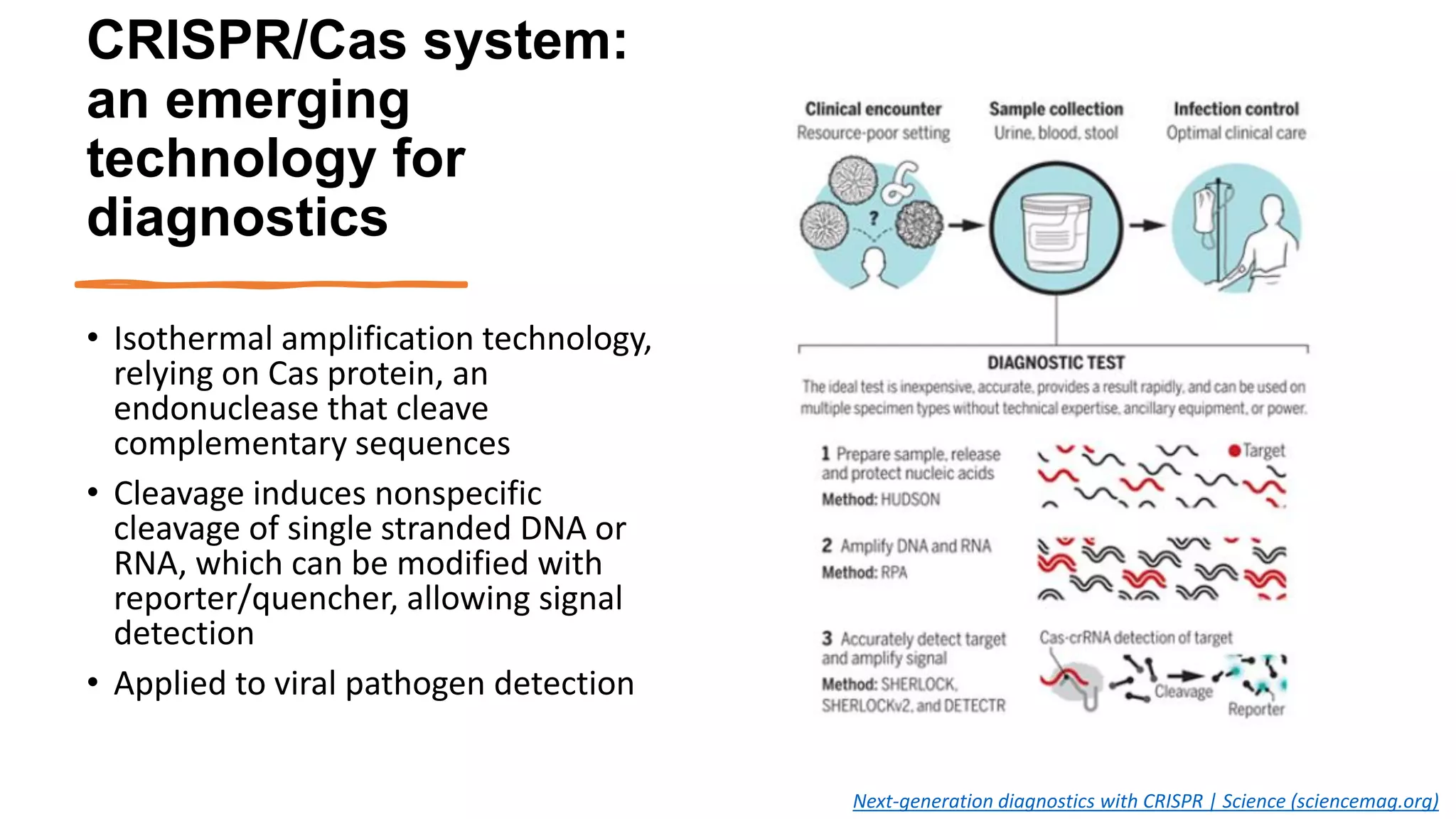 CRISPR/Cas system:
an emerging
technology for
diagnostics
• Isothermal amplification technology,
relying on Cas protein, an
endonuclease that cleave
complementary sequences
• Cleavage induces nonspecific
cleavage of single stranded DNA or
RNA, which can be modified with
reporter/quencher, allowing signal
detection
• Applied to viral pathogen detection
Next-generation diagnostics with CRISPR | Science (sciencemag.org)
 