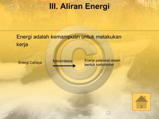III. Aliran Energi
Energi adalah kemampuan untuk melakukan
kerja
fotosintesisEnergi Cahaya
Energi potensial dalam
bentuk karbohidrat
 