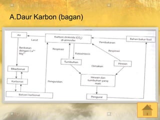 A.Daur Karbon (bagan)
 