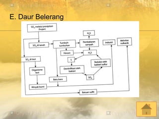 E. Daur Belerang
 