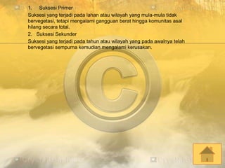 1. Suksesi Primer
Suksesi yang terjadi pada lahan atau wilayah yang mula-mula tidak
bervegetasi, tetapi mengalami gangguan berat hingga komunitas asal
hilang secara total.
2. Suksesi Sekunder
Suksesi yang terjadi pada tahun atau wilayah yang pada awalnya telah
bervegetasi sempurna kemudian mengalami kerusakan.
 
