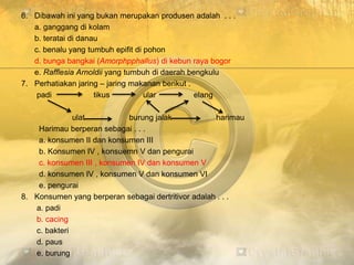 6. Dibawah ini yang bukan merupakan produsen adalah . . .
a. ganggang di kolam
b. teratai di danau
c. benalu yang tumbuh epifit di pohon
d. bunga bangkai (Amorphpphallus) di kebun raya bogor
e. Rafflesia Arnoldii yang tumbuh di daerah bengkulu
7. Perhatiakan jaring – jaring makanan berikut .
padi tikus ular elang
ulat burung jalak harimau
Harimau berperan sebagai . . .
a. konsumen II dan konsumen III
b. Konsumen IV , konsuemn V dan pengurai
c. konsumen III , konsumen IV dan konsumen V
d. konsumen IV , konsumen V dan konsumen VI
e. pengurai
8. Konsumen yang berperan sebagai dertritivor adalah . . .
a. padi
b. cacing
c. bakteri
d. paus
e. burung
 