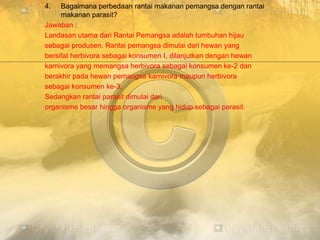 4. Bagaimana perbedaan rantai makanan pemangsa dengan rantai
makanan parasit?
Jawaban :
Landasan utama dari Rantai Pemangsa adalah tumbuhan hijau
sebagai produsen. Rantai pemangsa dimulai dari hewan yang
bersifat herbivora sebagai konsumen I, dilanjutkan dengan hewan
karnivora yang memangsa herbivora sebagai konsumen ke-2 dan
berakhir pada hewan pemangsa karnivora maupun herbivora
sebagai konsumen ke-3.
Sedangkan rantai parasit dimulai dari
organisme besar hingga organisme yang hidup sebagai parasit.
 