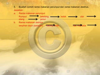 5. Buatlah contoh rantai makanan perumput dan rantai makanan destrius.
Jawaban:
a. Rantai makanan perumput
Rumput belalang katak ular
elang jamur
b. Rantai makanan detritus
serpihan daun (sampah) cacing tanah Itik manusia
 