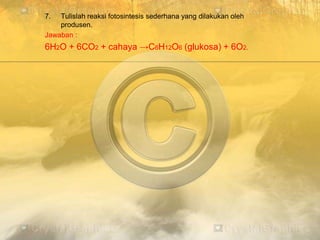 7. Tulislah reaksi fotosintesis sederhana yang dilakukan oleh
produsen.
Jawaban :
6H2O + 6CO2 + cahaya →C6H12O6 (glukosa) + 6O2.
 
